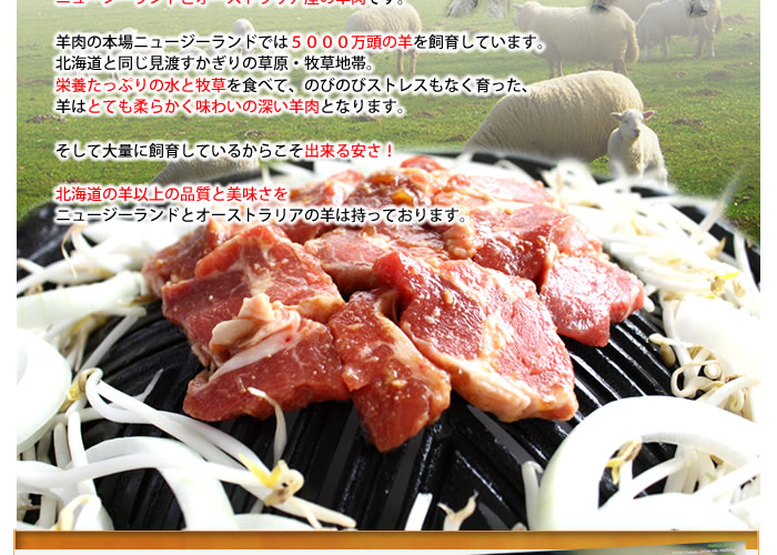 羊肉の本場ニュージーランドでは5000万頭の羊を飼育しています。北海道と同じ見渡すかぎりの草原・牧草地帯。栄養たっぷりの水と牧草を食べて、のびのびストレスもなく育った、羊はとても柔らかく味わいの深い羊肉となります。そして大量に飼育しているからこそ出来る安さ!北海道の羊以上の品質と美味さをニュージーランドとオーストラリアの羊は持っております。